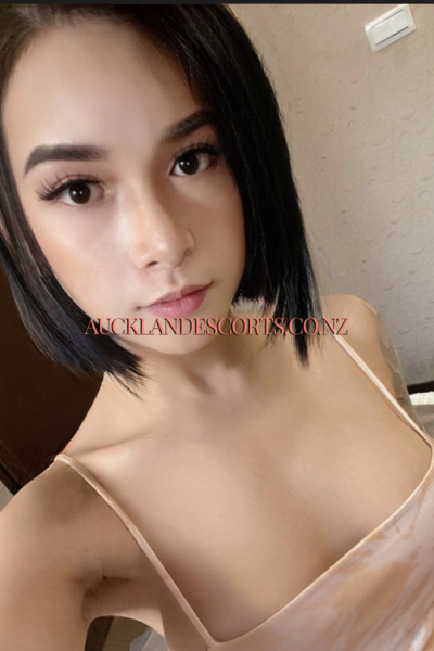 TS Lexi